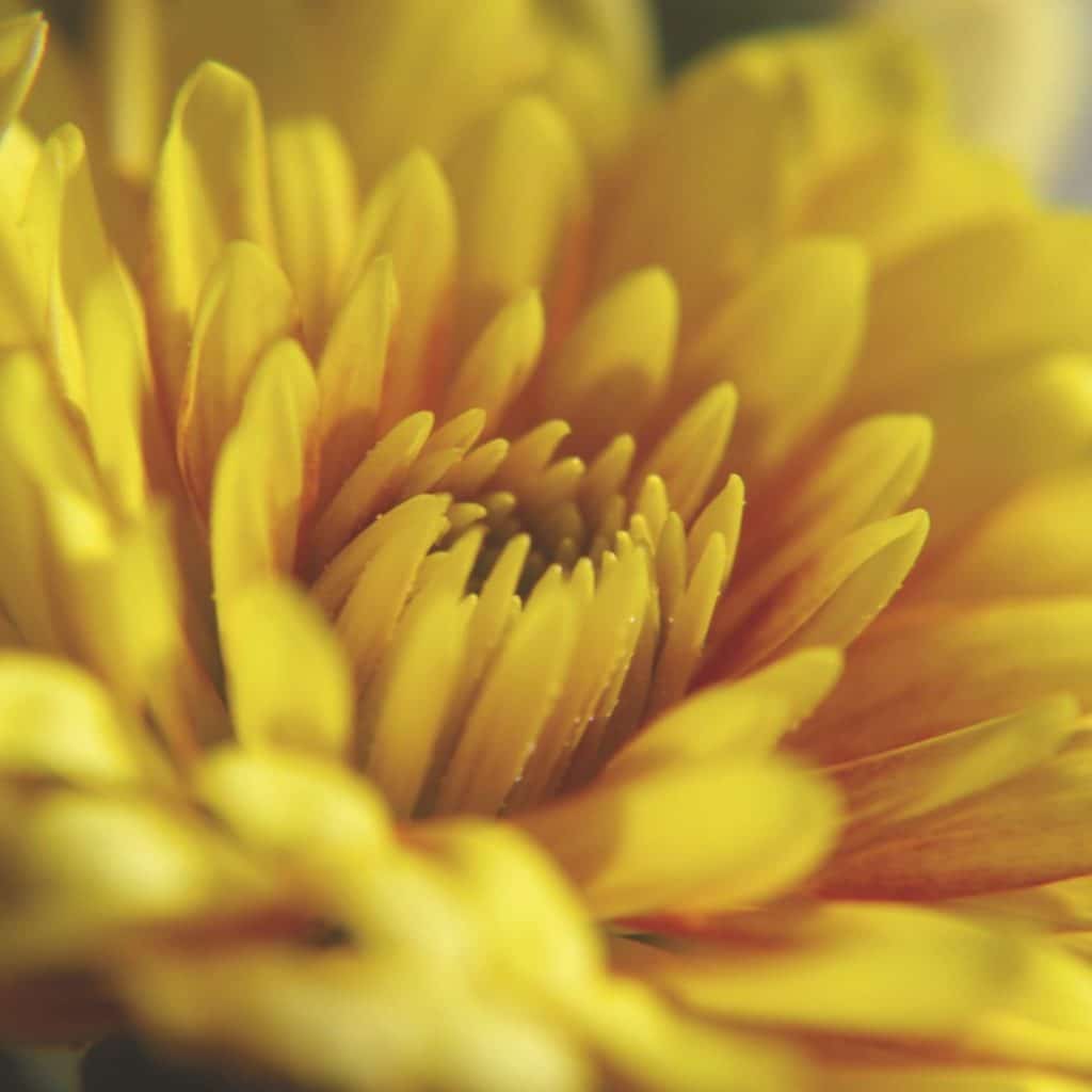 Infos zum CU Zahlenring 20 Seelenbewusst® - KiTE® Seminare & Coaching