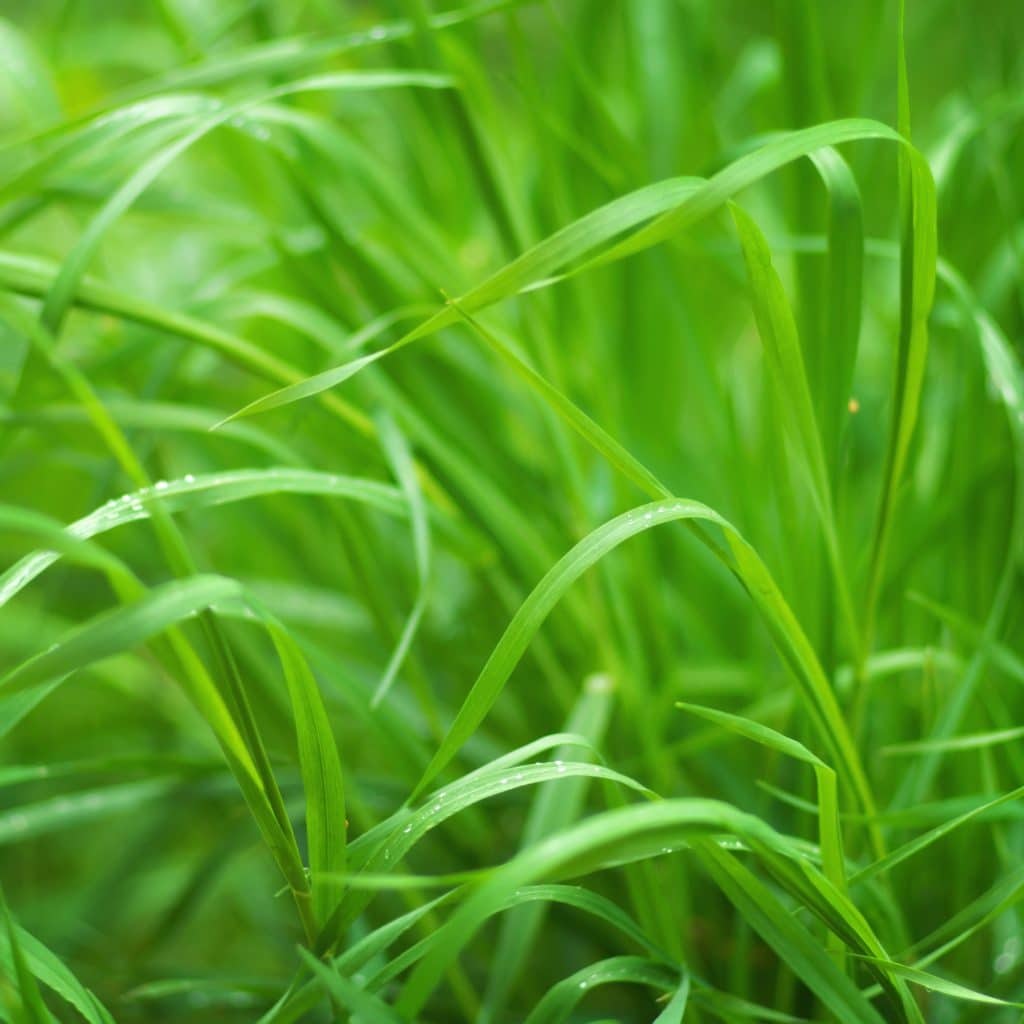 Infos zum CU Zahlenring 8 Seelenbewusst® - KiTE® Seminare & Coaching