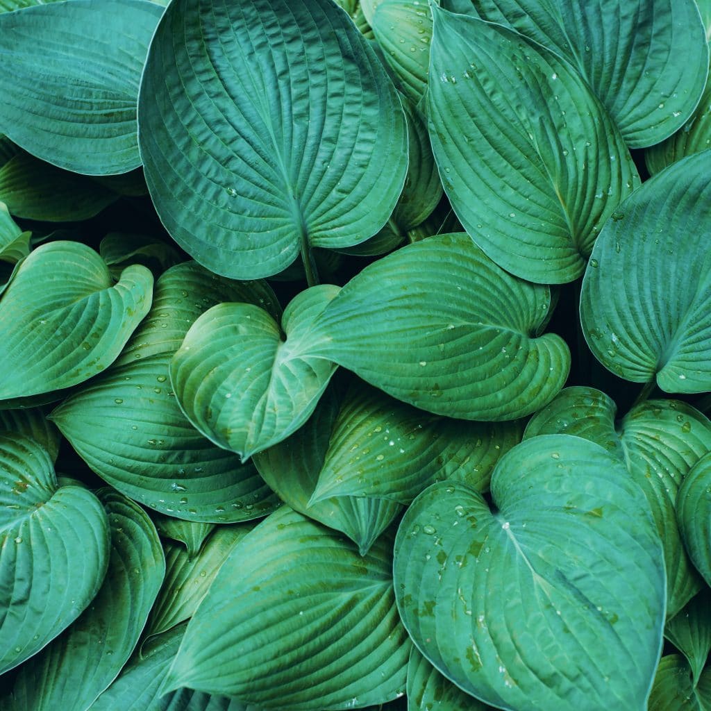 Infos zum CU Zahlenring 11 Seelenbewusst® - KiTE® Seminare & Coaching