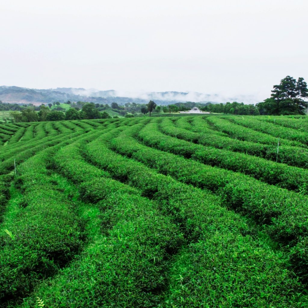 Infos zum CU Zahlenring 9 Seelenbewusst® - KiTE® Seminare & Coaching