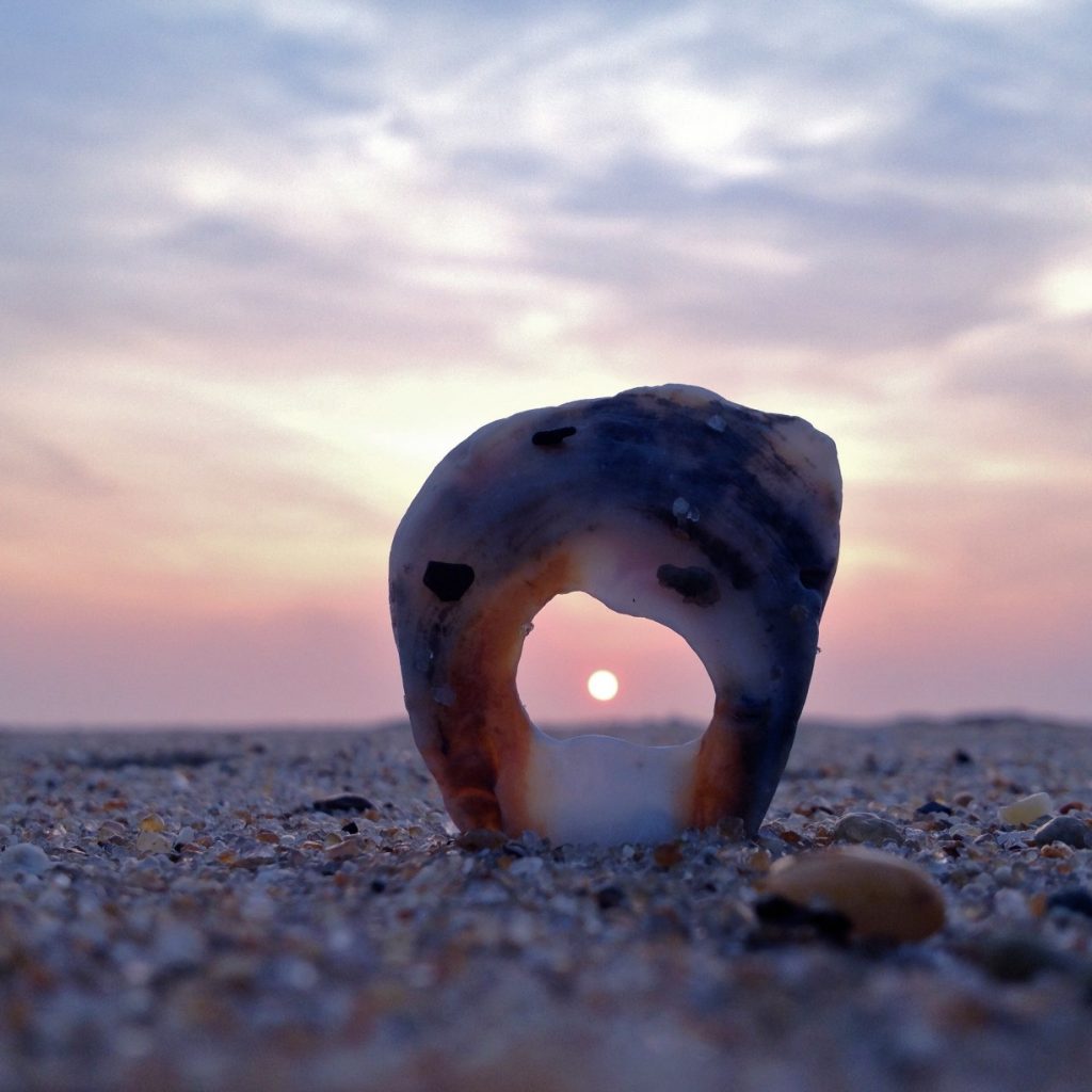 Liebe finden 1 Seelenbewusst® - KiTE® Seminare & Coaching