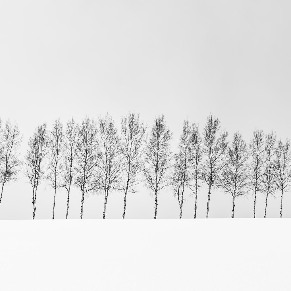 Infos zum CU Zahlenring 17 Seelenbewusst® - KiTE® Seminare & Coaching