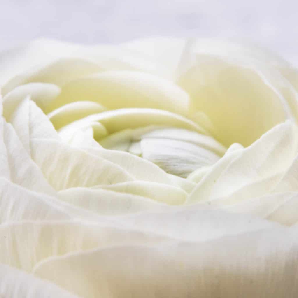 Infos zum CU Zahlenring 16 Seelenbewusst® - KiTE® Seminare & Coaching